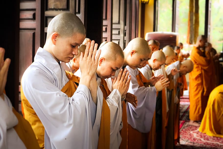 biksu, biksu vietnam, agama, kuil, budaya, sekelompok orang, kepercayaan, kerohanian, laki-laki, masa kecil