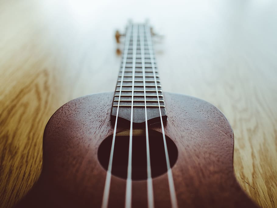 close-up photo, brown, black, guitar, ukulele, music, instrument, string instrument, musical instrument, musical equipment