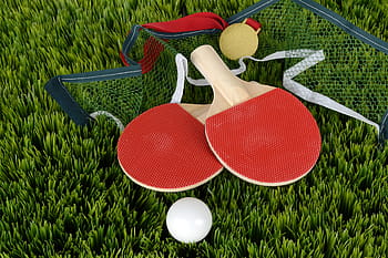 Royalty Free Table Tennis Bat Photos Free Download Pxfuel