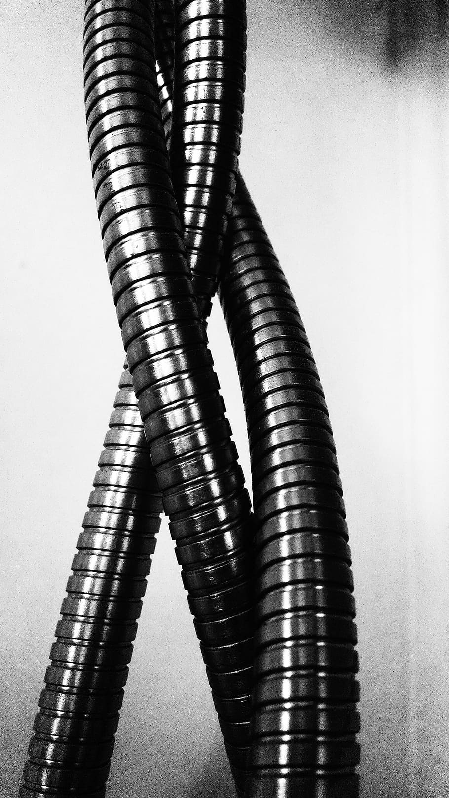 grayscale photo, hose, metal, coil, modern, industrial, iron, equipment, wire, spiral