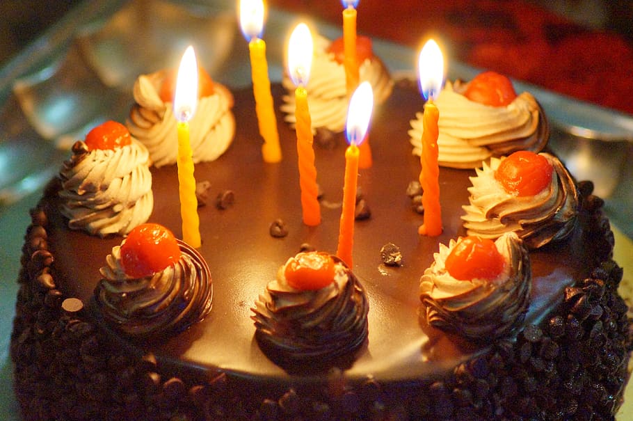 cerrar, foto, pastel de chocolate redondo, velas, de cerca, redondo, pastel de chocolate, cumpleaños, pastel, celebración