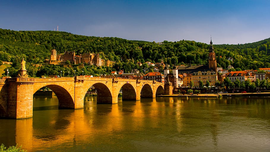 brown, concrete, arch bridge, cathedral, across, hill, covered, trees, daytime, heidelberg