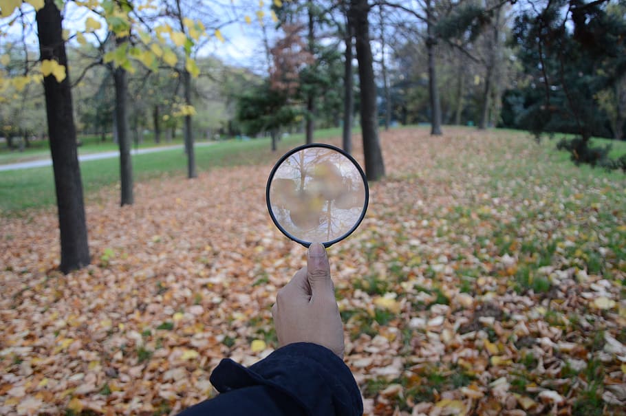 person holding lens, search, lens, autumn, leaves, sky, forest, foliage, fall, water