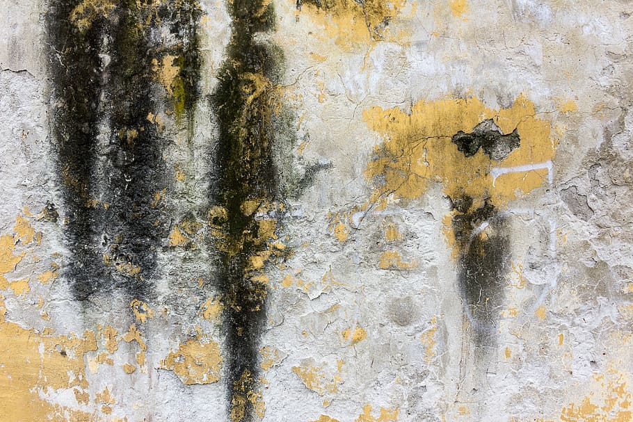 white, black, yellow, concrete, wall, texture, moss, backgrounds, dirty, old
