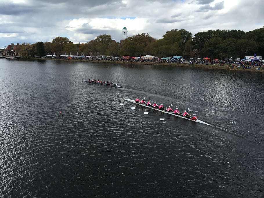 regatta, rowing, race, boat, row, competition, sport, water, training, boating