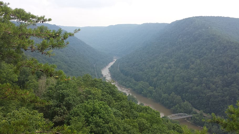 west virginia, river, new river gorge, valley, mountains, tree, scenics - nature, plant, mountain, beauty in nature