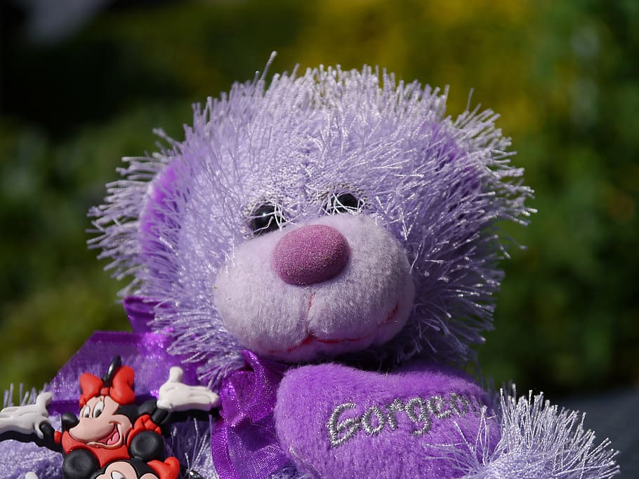 teddy bear, purple, bear, toy, teddy, purple teddy, kid, child, furry, minnie