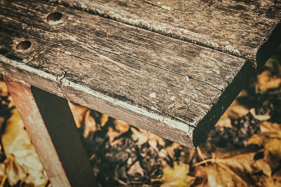 Bench, Old, Session, wood - material, close-up, abandoned, day, outdoors, textured, land