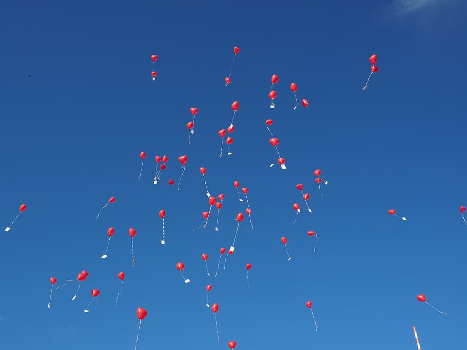 red, balloons, flying, clear, blue, sky, daytime, fly, wedding, congratulations