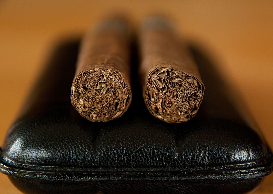 two brown tobaccos, tobacco, cigar, smoke, smoker, havana, case, close-up, indoors, studio shot