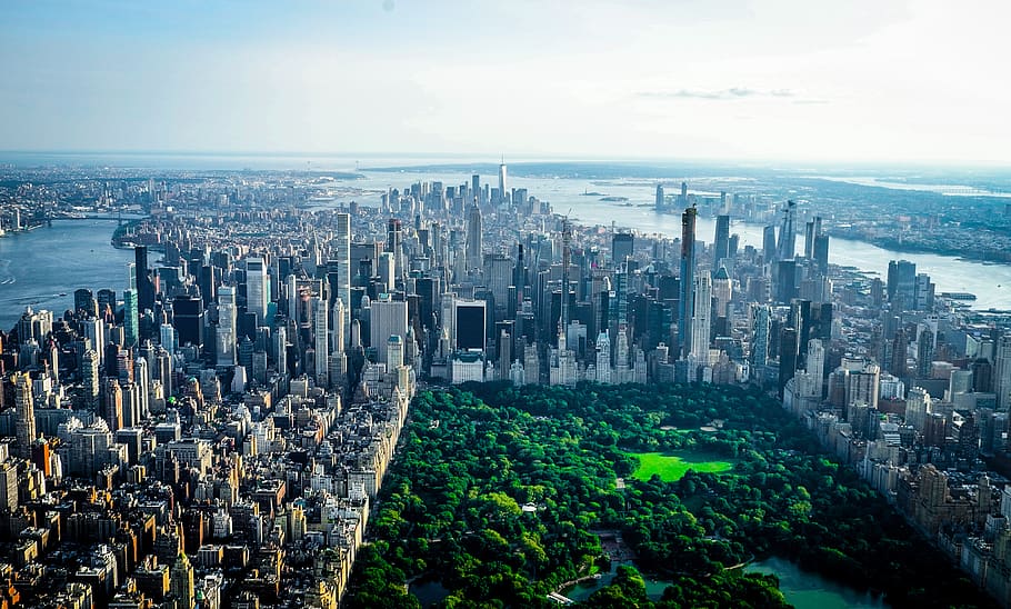 new york, usa, nyc, ny, manhattan, central park, city, america, big apple, gotham