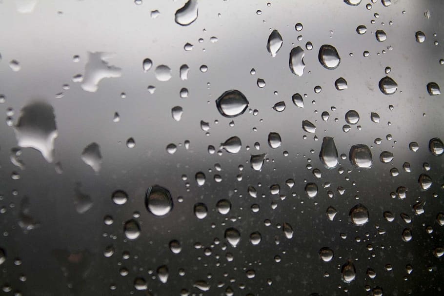 water droplets, glass, wet, drops, macro, liquid, window, windowpane, drop, water