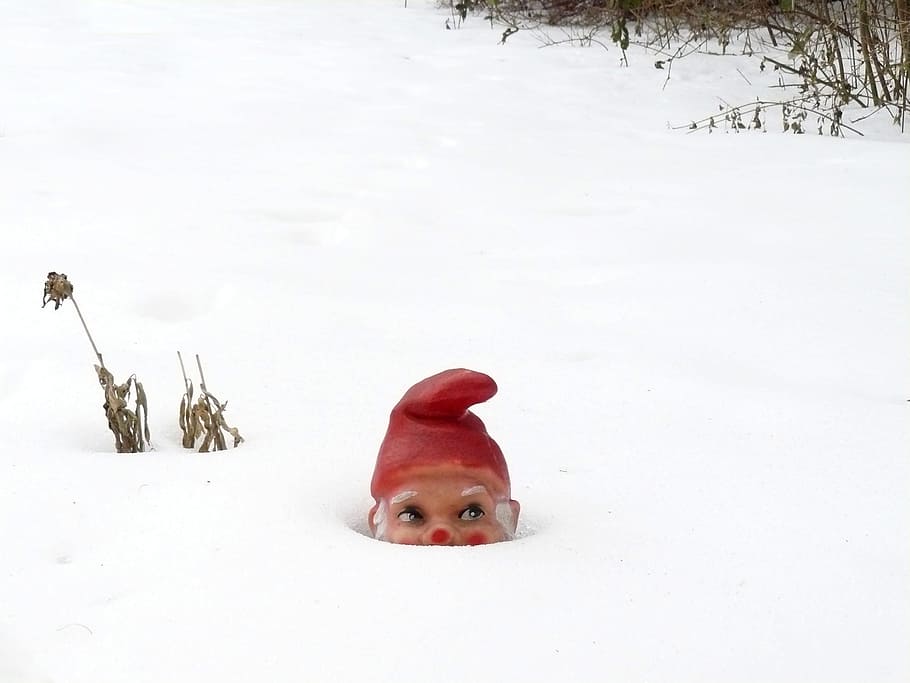 garden gnome, winter, snow, dwarf, white, cold, hidden, wintry, snowy, snow magic