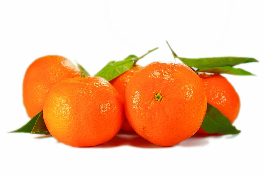 five, orange, fruits, white, background, oranges, tangerines, clementines, leaves, fruit