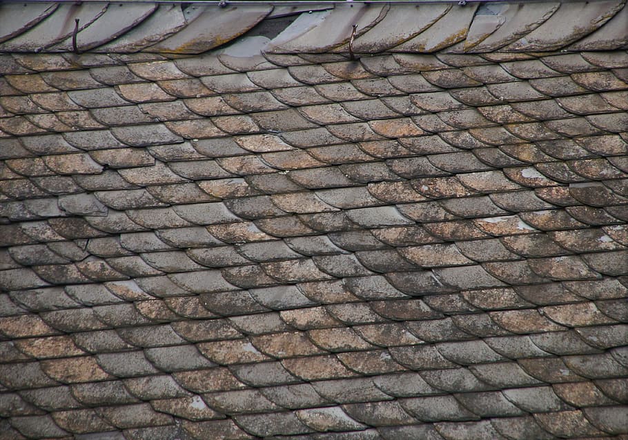 roof, roof renovation, old, weathered, damaged, slate, roofers, background, weather, roof extension