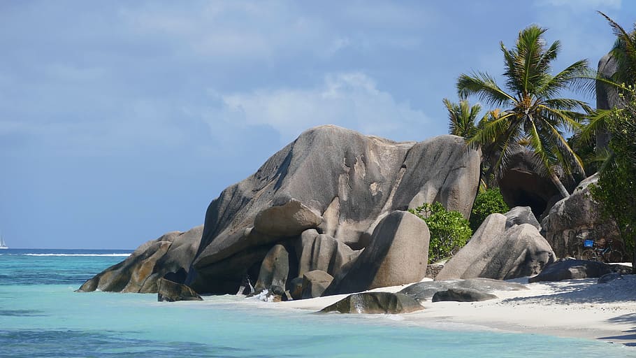 beach resort painting, seychelles, beach, sea, indian ocean, island, granite rock, palm trees, rock, exotic