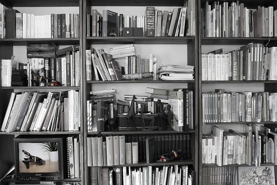 books, shelf, retro, black and white, bookshelf, study, knowledge, book, bound, literature