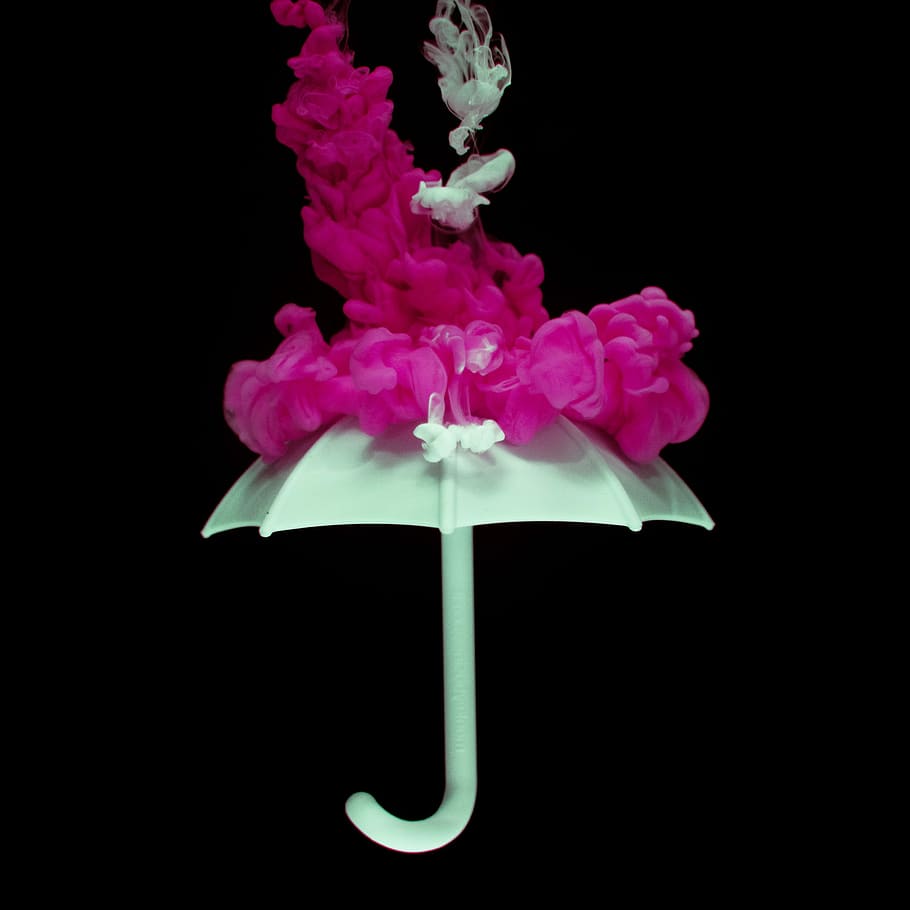 white, umbrella, pink, smoke, flower, nature, flora, floral, beautiful, abstract