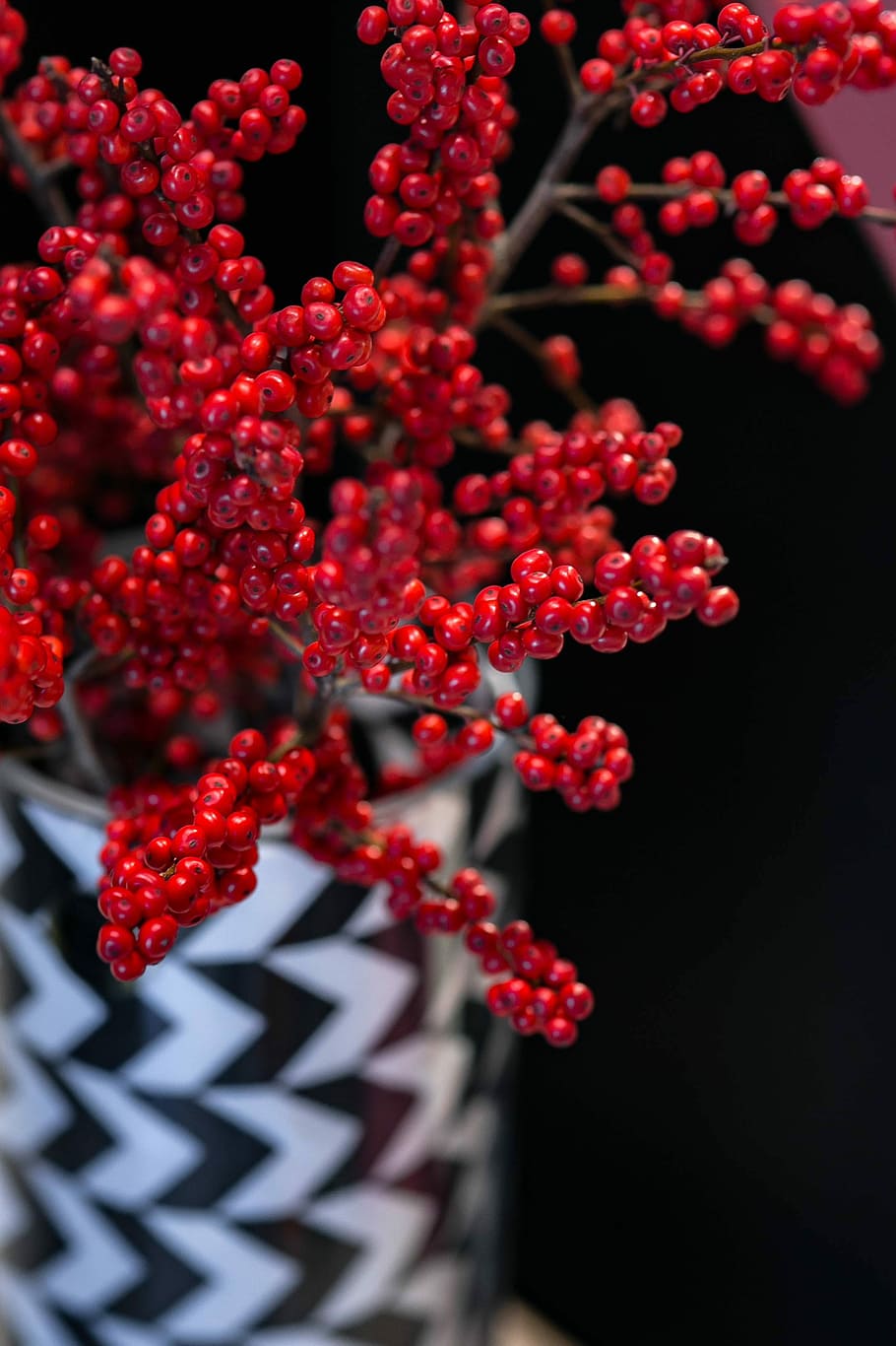 red, rowan, black-and-white, pot, blackandwhite, twig, berries, nature, fruit, food
