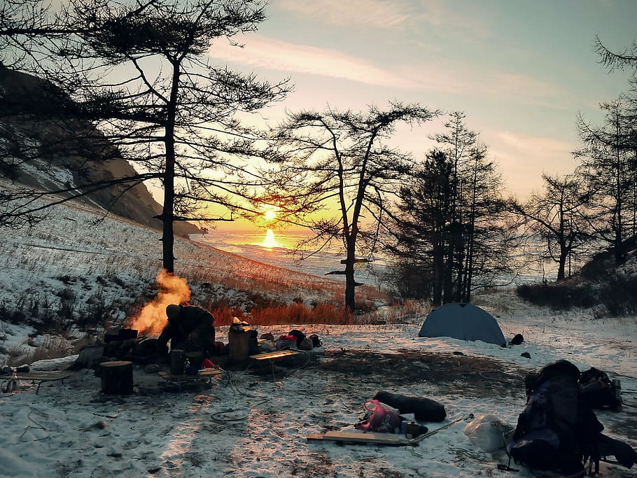 bare, trees, bed, snow, blue, sky, sunrise, wintry, camping, adventure