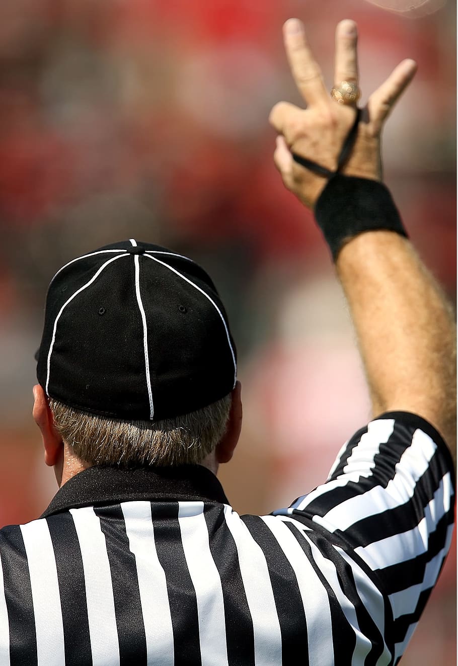 american football official, referee, football referee, competition, game, stripes, zebra, sport, official, third down