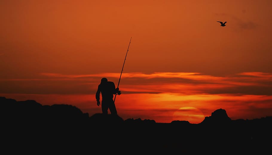 foto de silueta, persona, tenencia, varilla, montaña, dorado, hora, silueta, pesca, puesta de sol