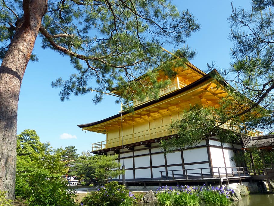 japan, kyoto prefecture, kinkaku, golden pavilion, shrine, historic site, muromachi period, pond, garden, place of interest