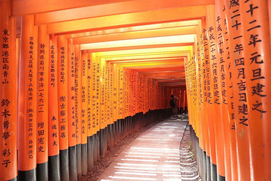 Japan, Kyoto, Shrine, shinto, fushimi Inari Shrine, torii Gate, inari, japanese Culture, cultures, asia