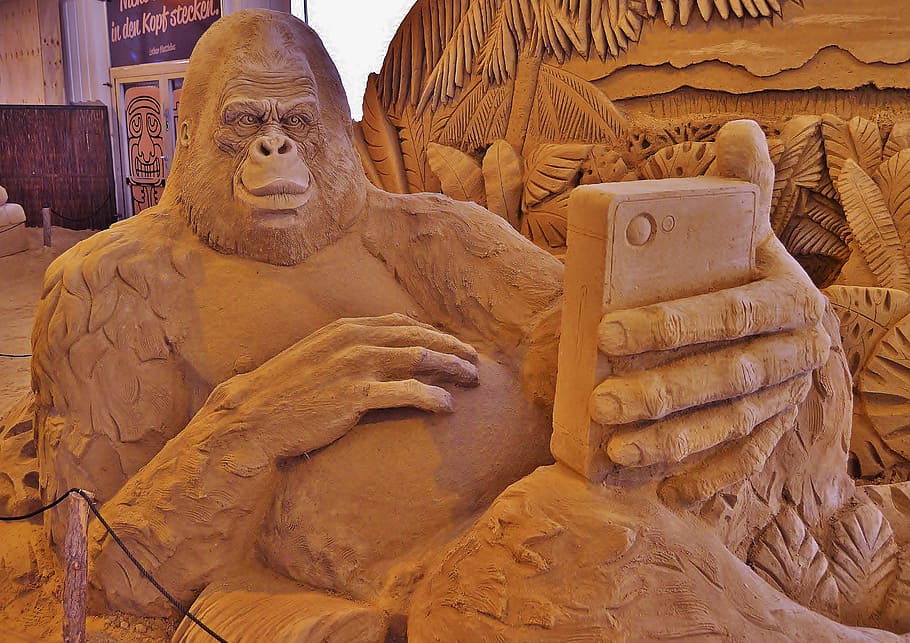 estatua del gorila, escultura de arena, mono selfi, gorila, teléfono móvil, arte, exposición, arte y artesanía, escultura, representación humana