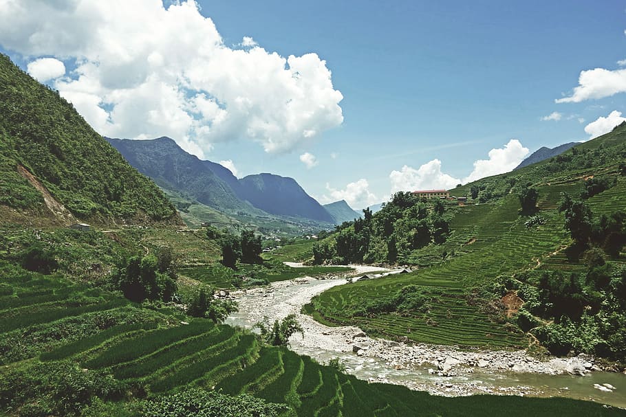 sapa valley fever, Sapa, Valley Fever, forest, rice, valley, view, nature, mountain, landscape