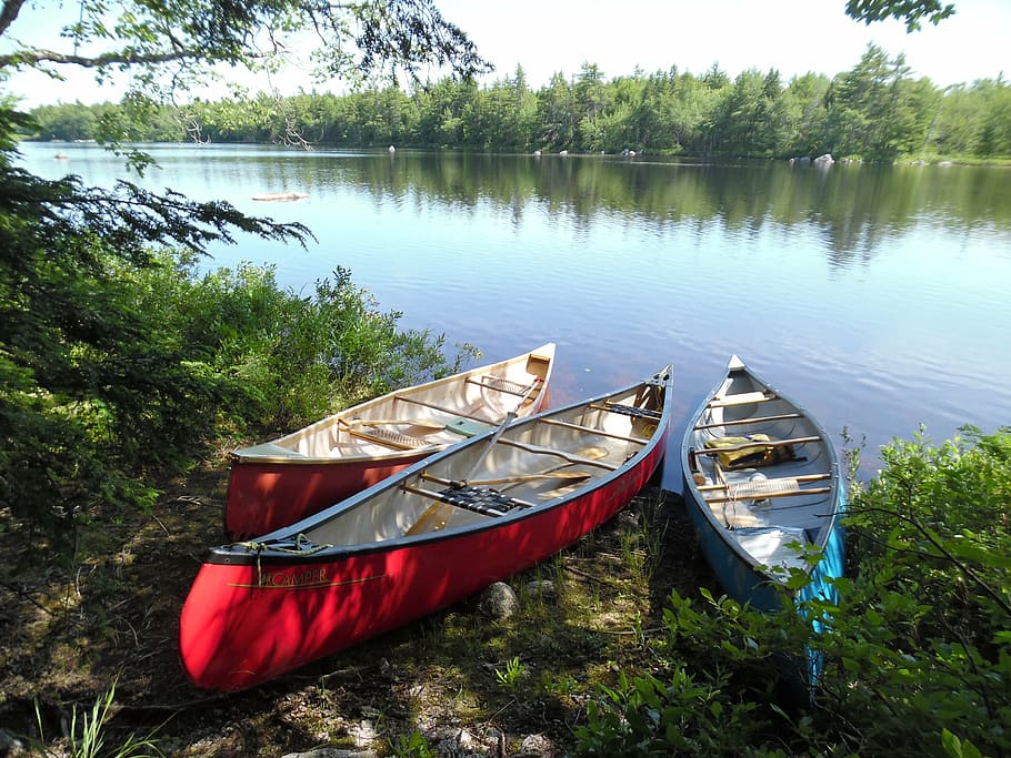 canoe, new scotland, vacancy, chalet, three, nature, lake, nautical Vessel, outdoors, water
