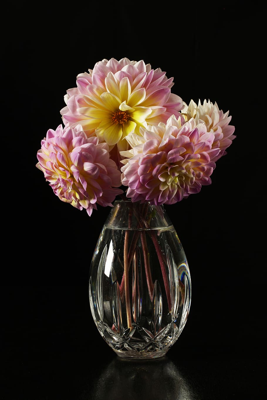 dahlia, dahlia dalam vas, bunga, bunga dalam vas, mekar, taman, merah muda, tanaman berbunga, dalam ruangan, kerentanan