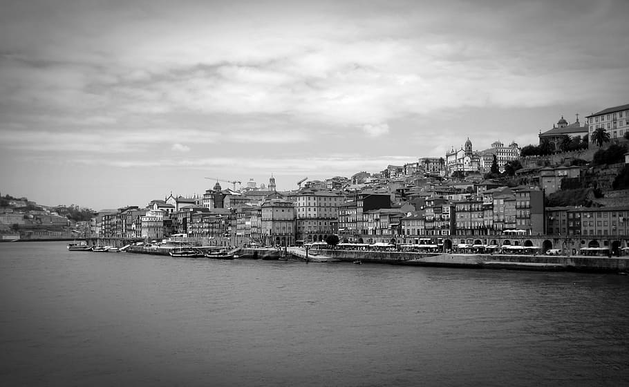 porto, portugal, port, port wine, old town, tourism, historically, italy, cityscape, europe