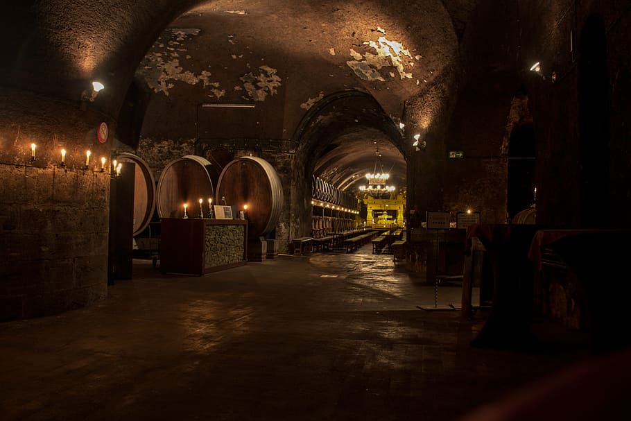 underground winery, cellar, wine, wine barrels, wine storage, barrel, keller, winemaker, wooden barrels, wine barrel