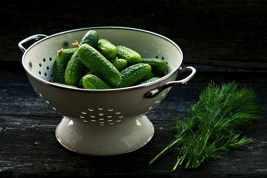 cucumber, plant, green, food, appetizer, dessert, filter, food and drink, green color, wellbeing