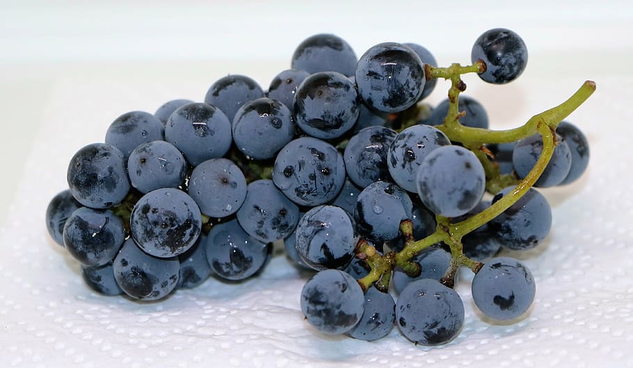 ungu, anggur, putih, handuk kertas, anggur biru, buah, makan, makanan, blueberry, kesegaran