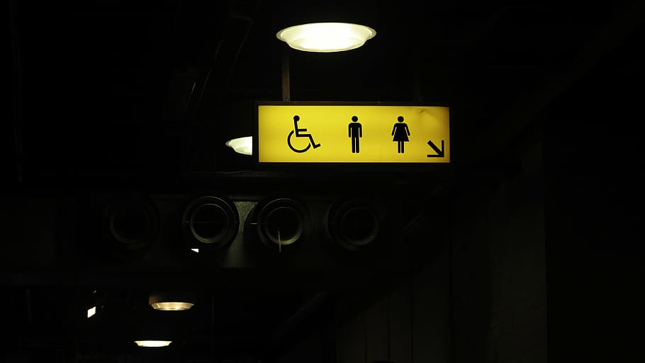 excitado, masculino, feminino, pessoa, sinal de deficiência, banheiro, sinalização, ainda, itens, coisas