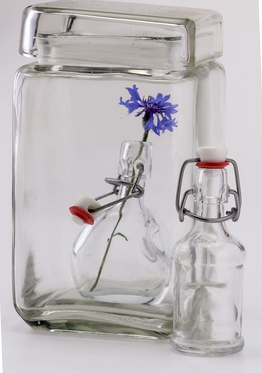 still life, bottles, glass, flower, container, bottle, transparent, glass - material, indoors, flowering plant