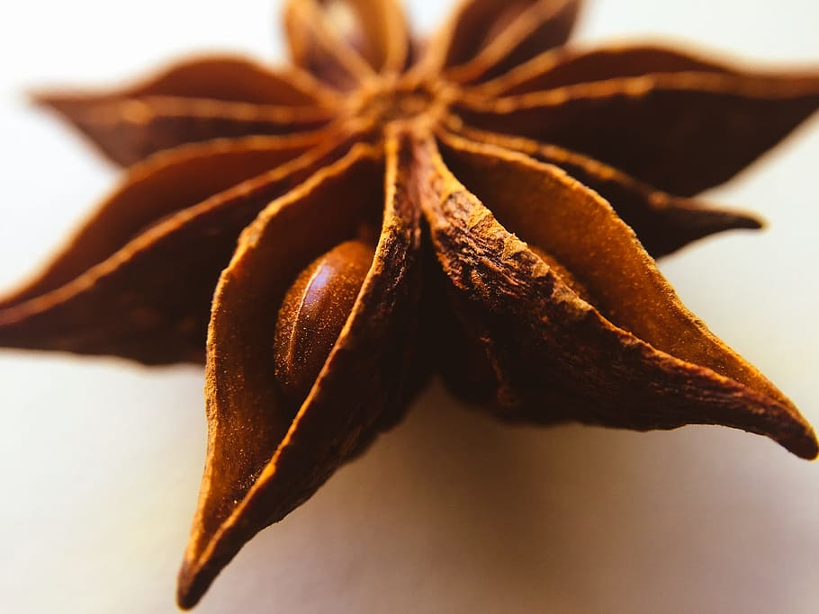 star, anise, plant, close-up, food and drink, food, freshness, indoors, studio shot, brown
