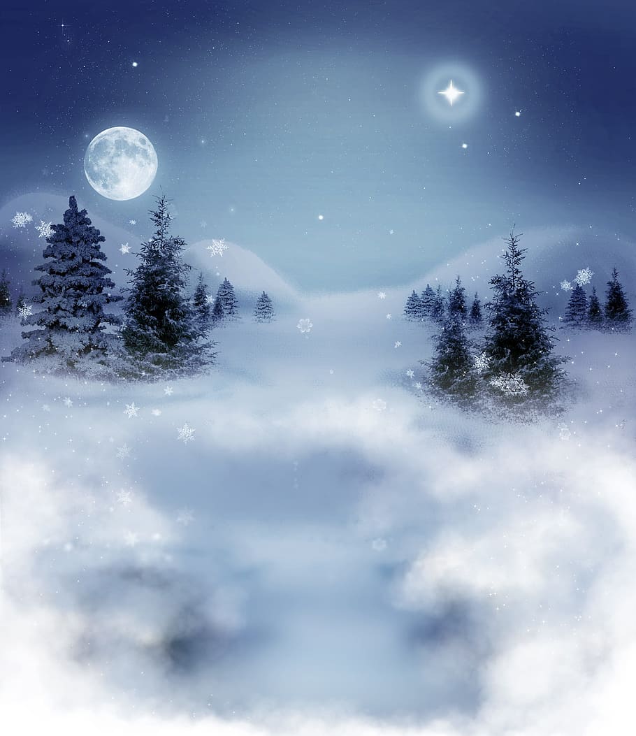 pohon pinus, awan, menghadap, bulan, bintang, malam hari, ilustrasi, lukisan, salju, kabut