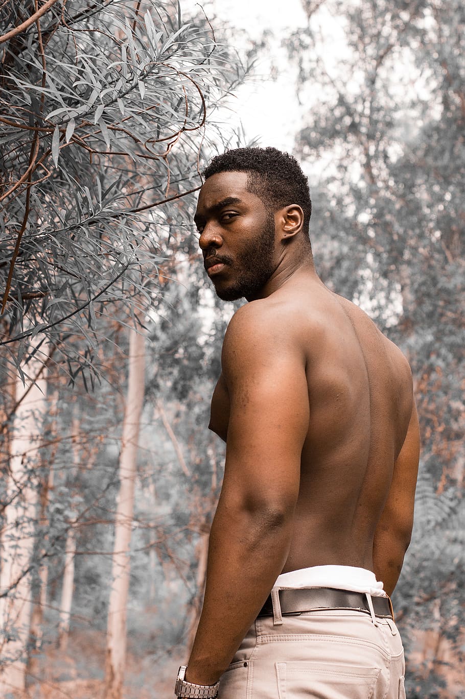 male, fashion, model, shirtless, man turning back, african, afro american, man in forest, tree, one person