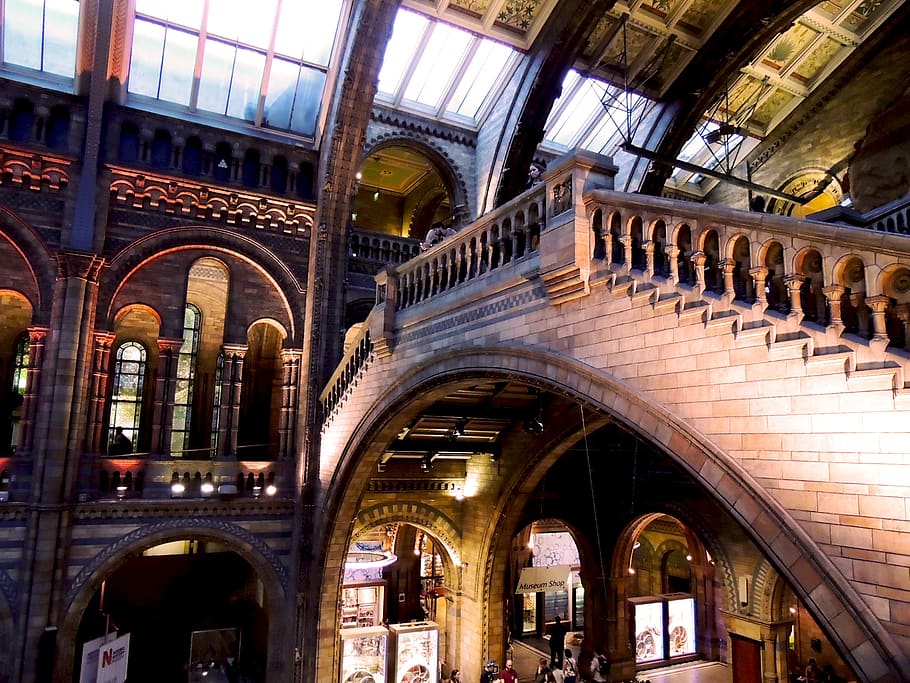 natural history museum, london, architecture, museum, history, natural, uk, british, building, victorian