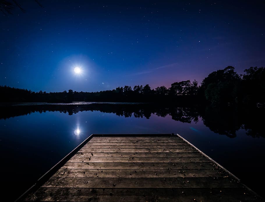 dark, night, evening, nature, water, lake, river, trees, woods, forest