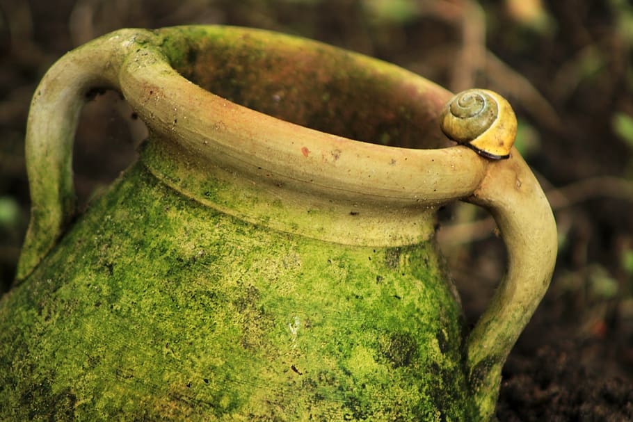 vessel, flower pot, jug, transitional, nature, ceramic, brittle, earthy material, moss, snail