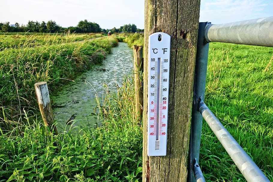 white, thermometer, brown, wooden, fence, temperature, celsius, fahrenheit, outdoor thermometer, post
