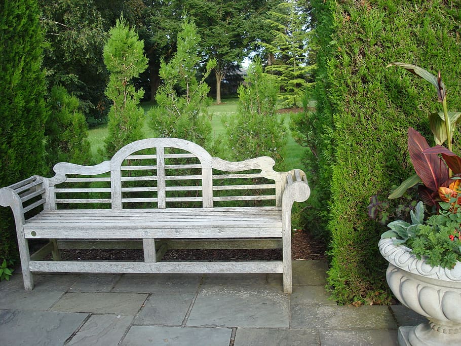 bank, park, garden, seat, rest, plant, bench, growth, chair, tree
