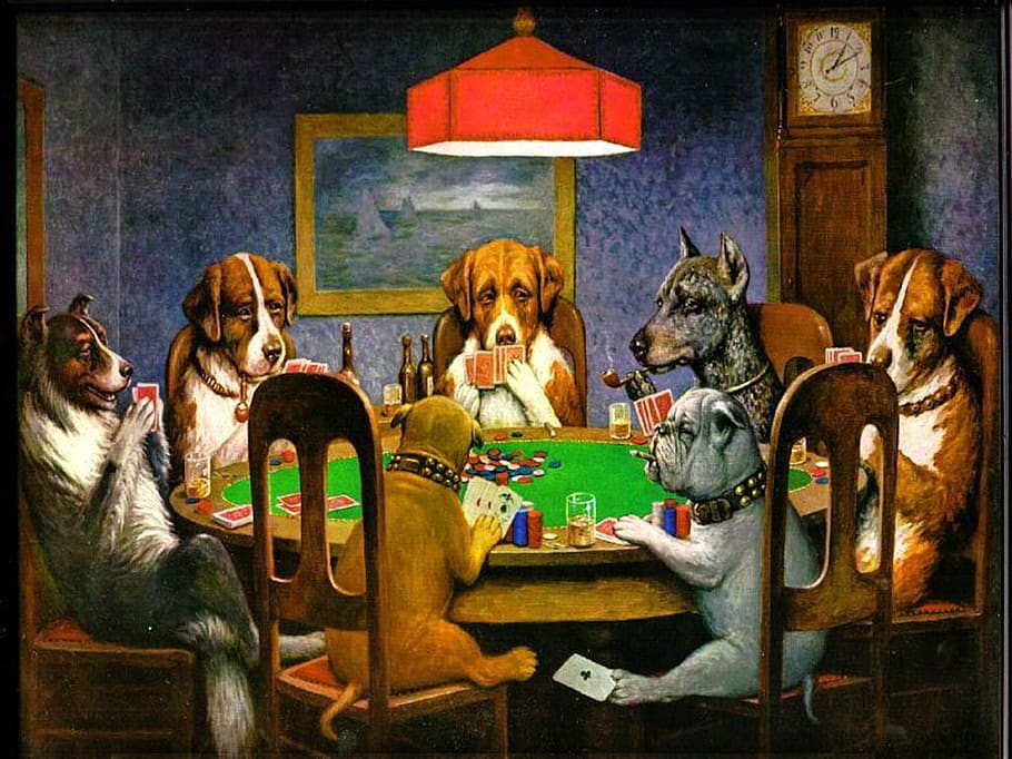 c m coolidge, cães, caninos, pôquer, cartas, humor, arte, artístico, pintura, óleo sobre tela
