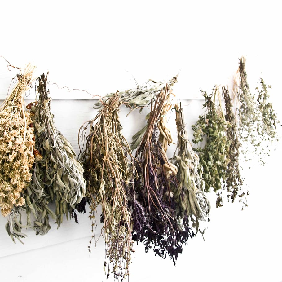 herbs, nature, natural, dried herbs, tea, plants, health, healthy, leaf, floral