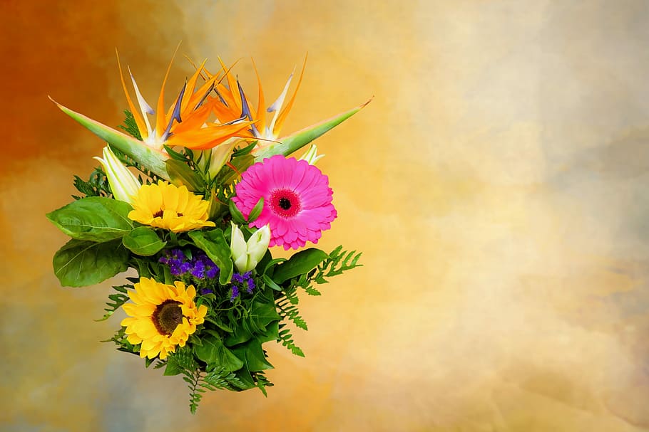 pintura de flores multicolores, emociones, flor, planta, ramo, gracias, tarjeta de felicitación, amor, día de la madre, día de san valentín