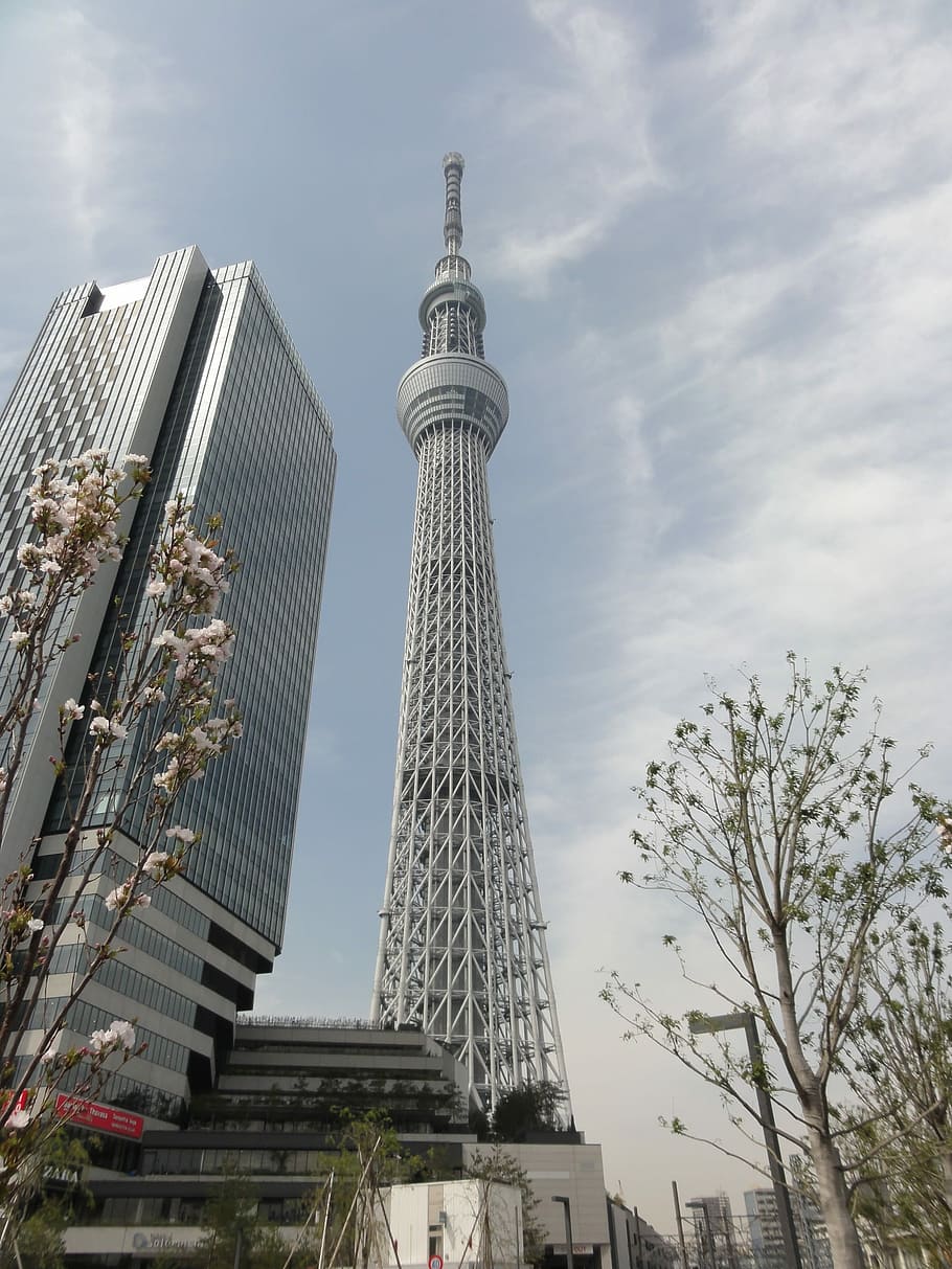 Tokyo, Japan, Skytree, tokyo, japan, architecture, skyscraper, tower, sky, travel destinations, city